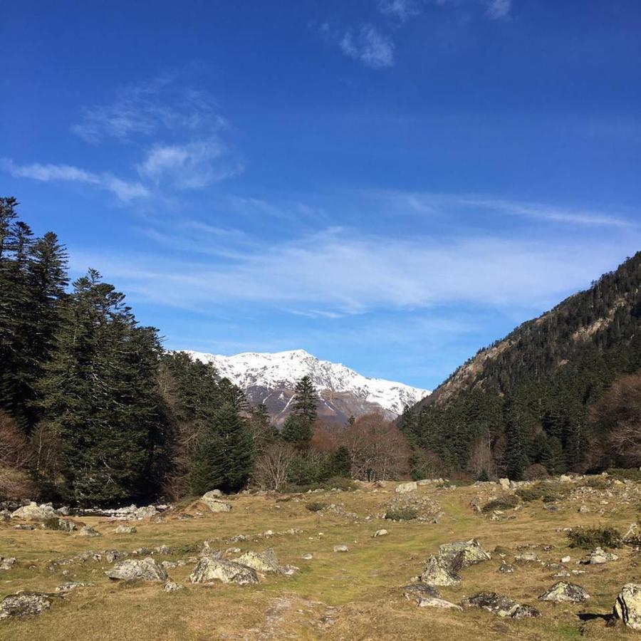 Appartement Cocooning Cauterets Coeur De Ville Εξωτερικό φωτογραφία